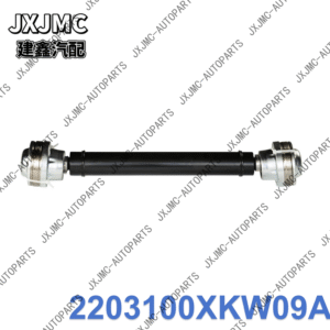 1-50_09 JXJMC- OEM: 2203100XKW09A